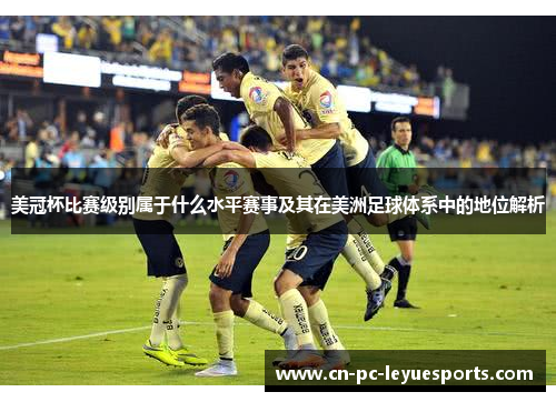 美冠杯比赛级别属于什么水平赛事及其在美洲足球体系中的地位解析