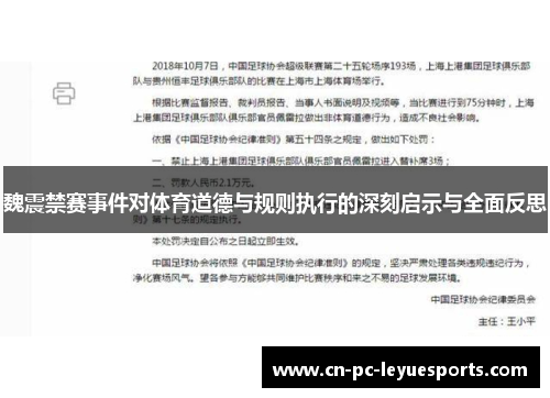 魏震禁赛事件对体育道德与规则执行的深刻启示与全面反思