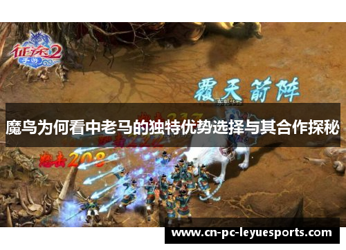 魔鸟为何看中老马的独特优势选择与其合作探秘