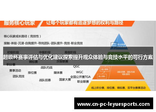 超级杯赛事评估与优化建议探索提升观众体验与竞技水平的可行方案