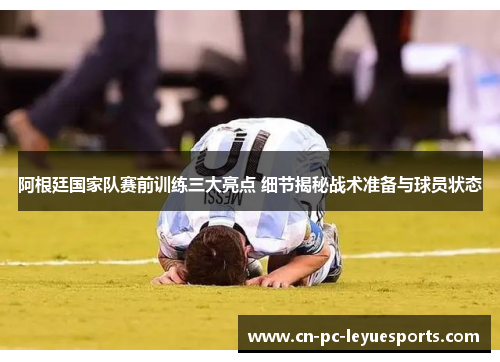 阿根廷国家队赛前训练三大亮点 细节揭秘战术准备与球员状态