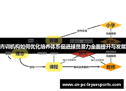 青训机构如何优化培养体系促进球员潜力全面提升与发展 青训机构如何优化培养体系促进球员潜力全面提升与发展
